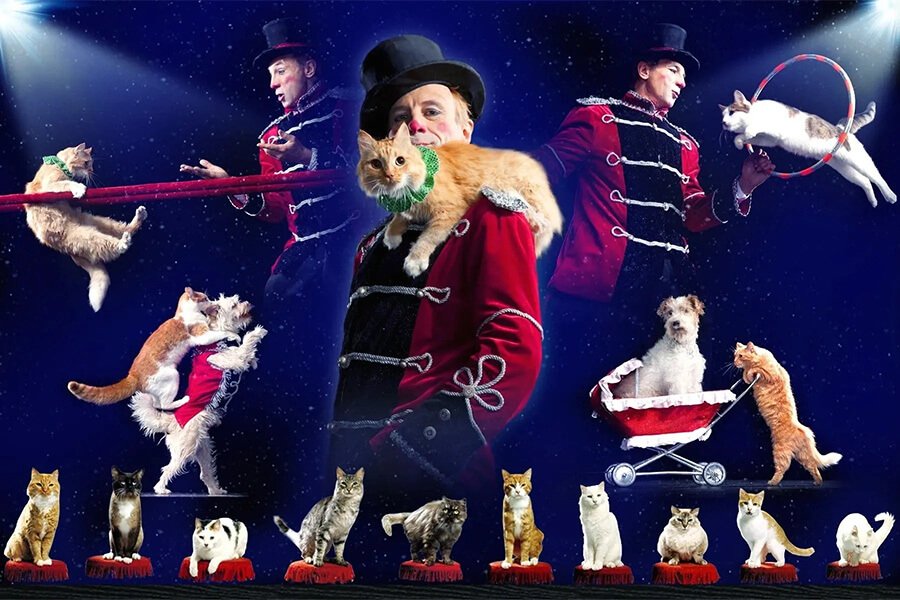 Popovich Comedy Pet Theater